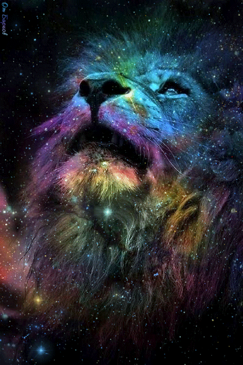 Созвездие Льва - красивые гифки Гифки с животными
