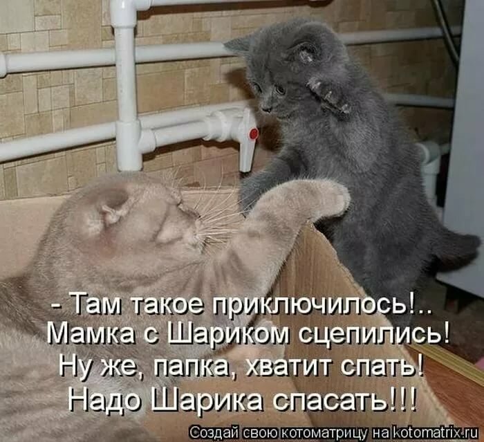 ������� �������� �������� � ��������� �� ���� �������