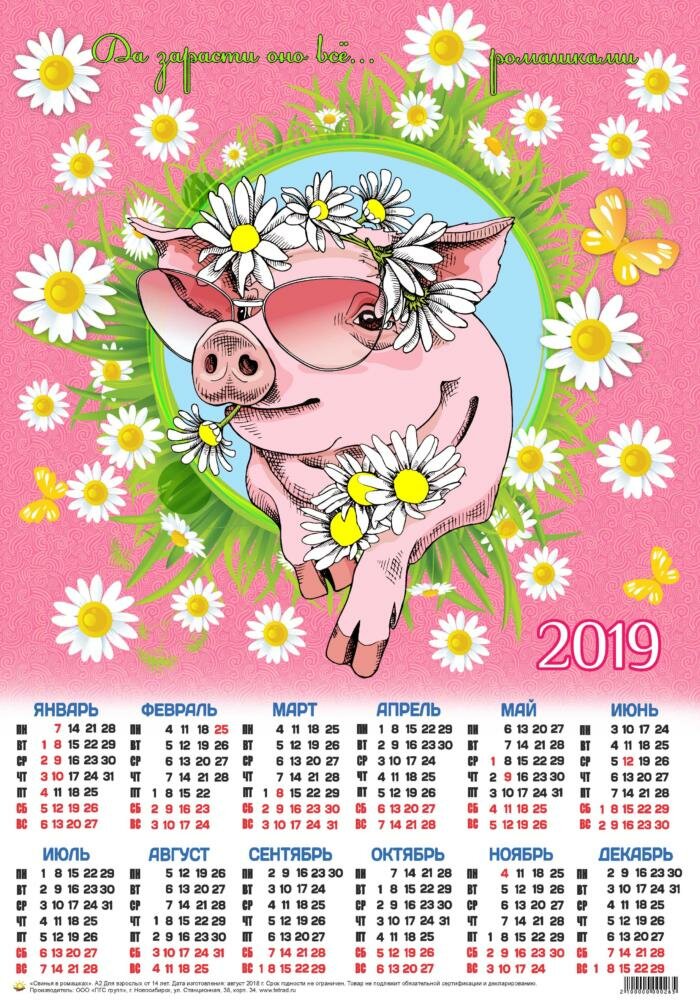календарь 2019 фото