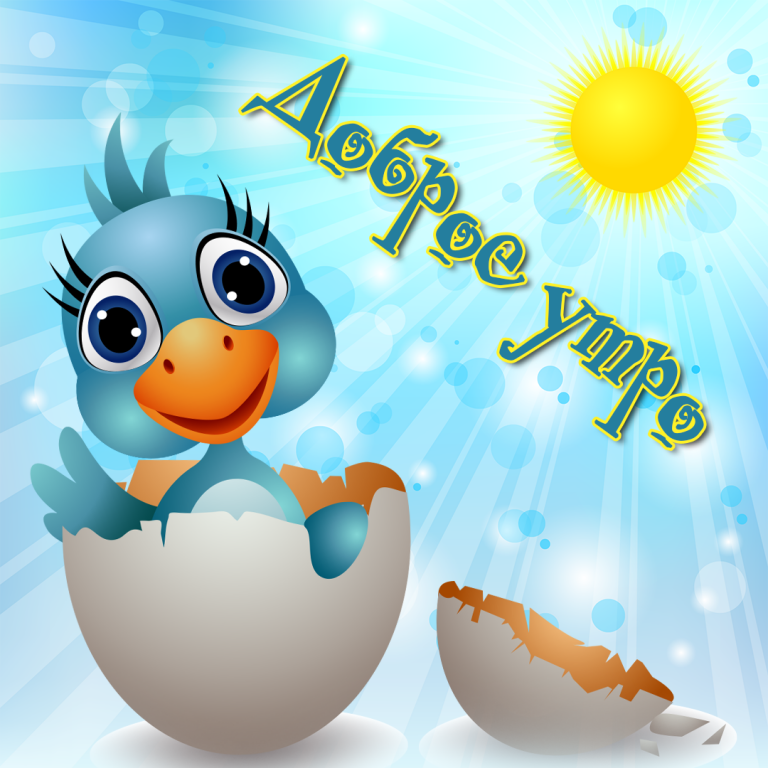 ���� ������, ����� ������� �������� � ������ �����