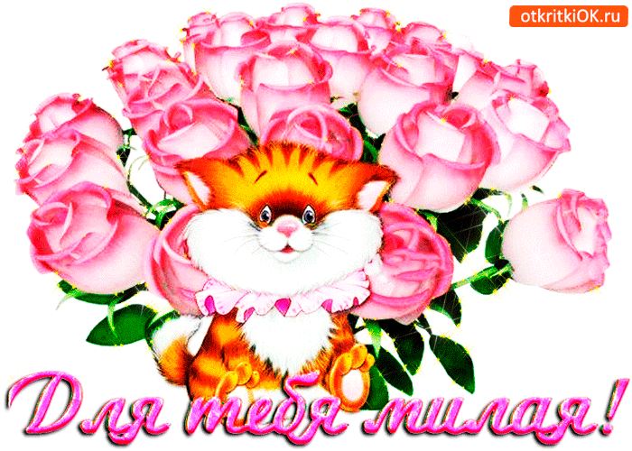 �������� ��� ����