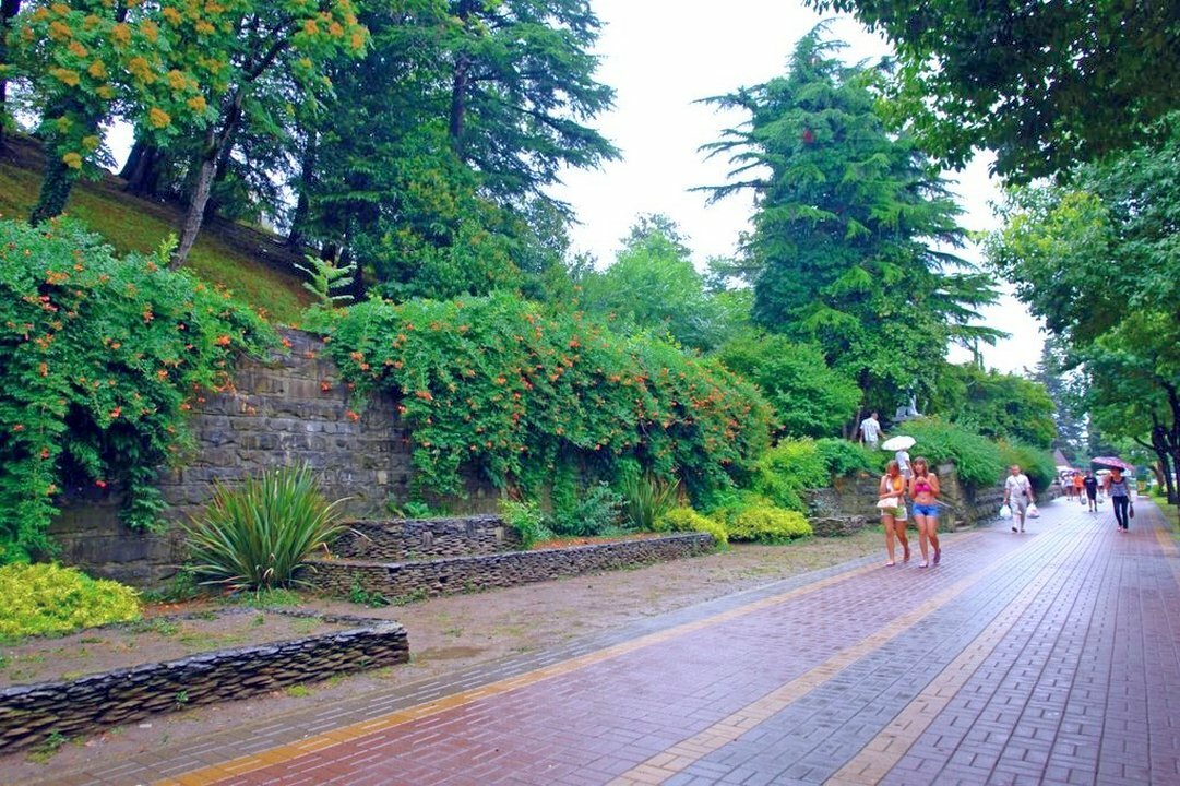 лазаревское парк фото