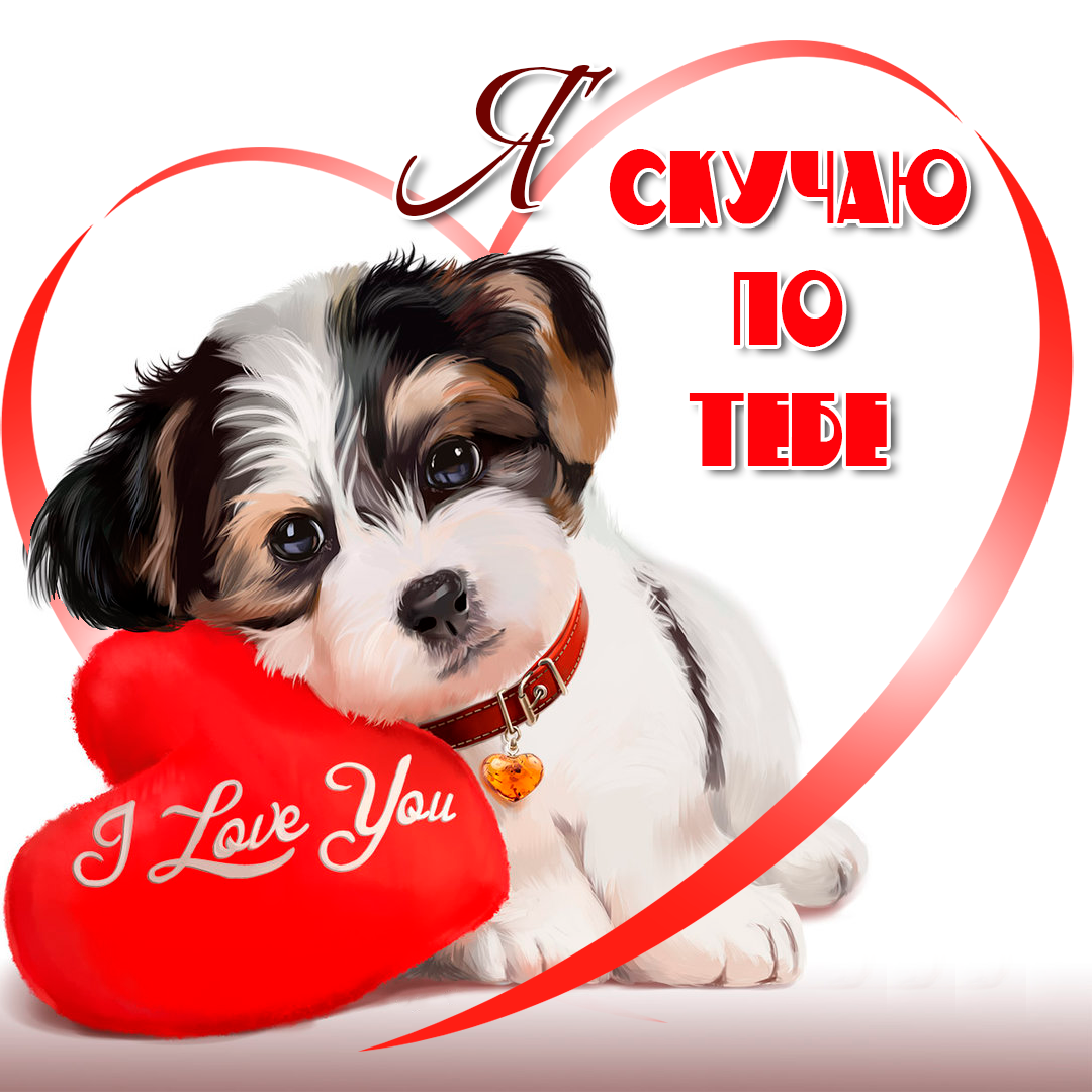 ��������, ����������� �������� �������