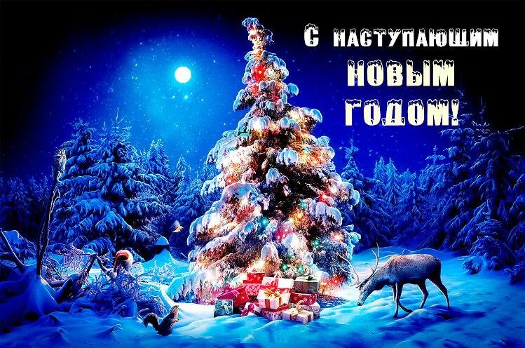 с новым годом фото