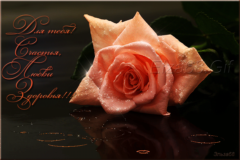 �������� �� �������� ��������