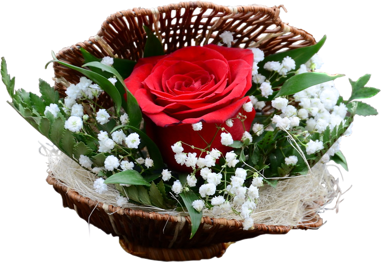 �������� ����� �� ���� ����, ����