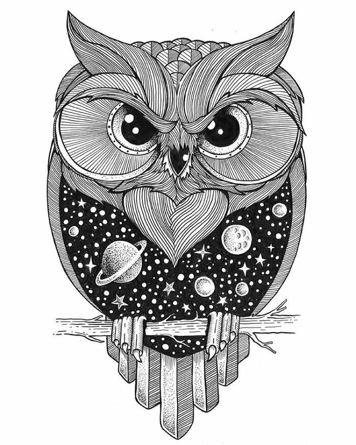 рисунок сова фото