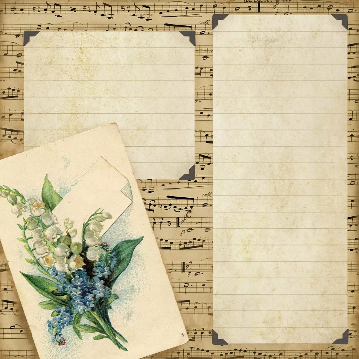 ������ ��� ��������, �������� 2014