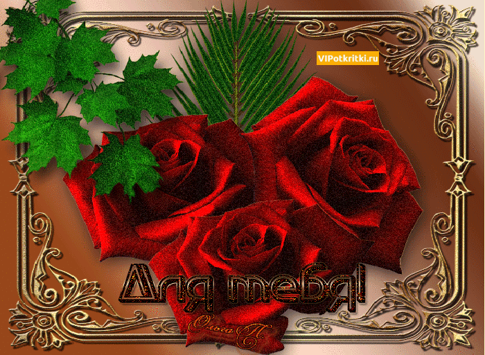 ������� ������ ������������ ��������