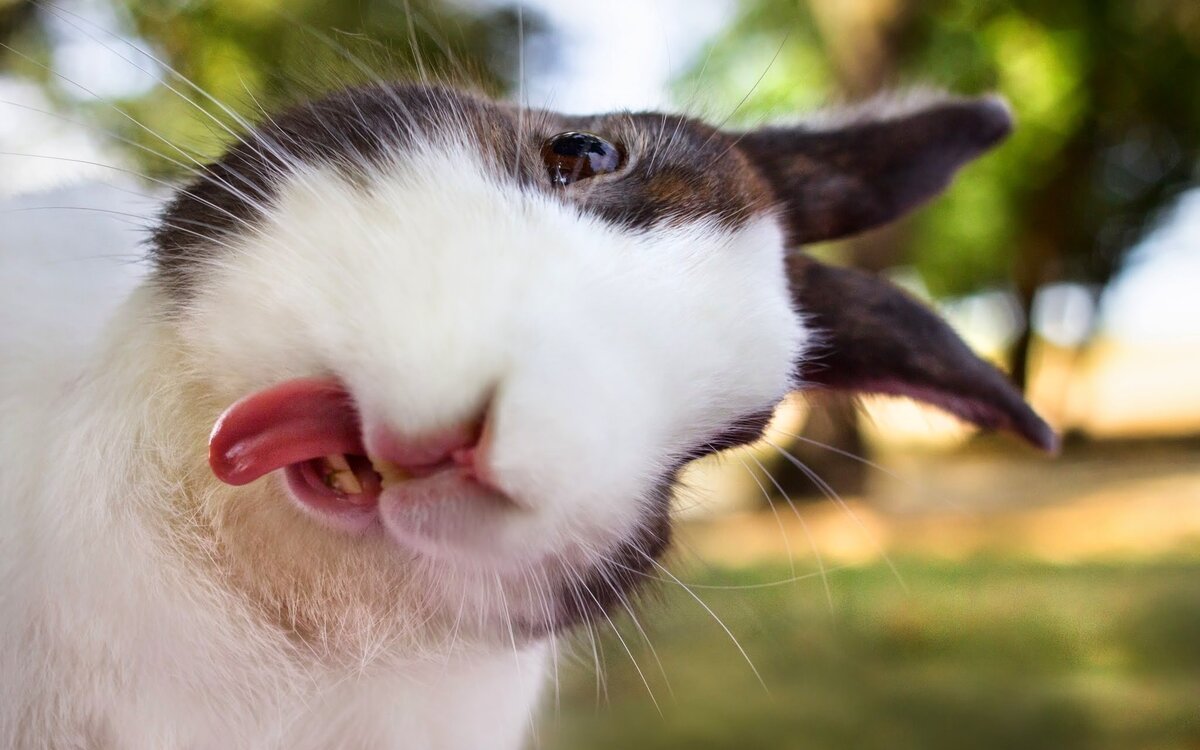 �������� � ��������� ������, ��� ������