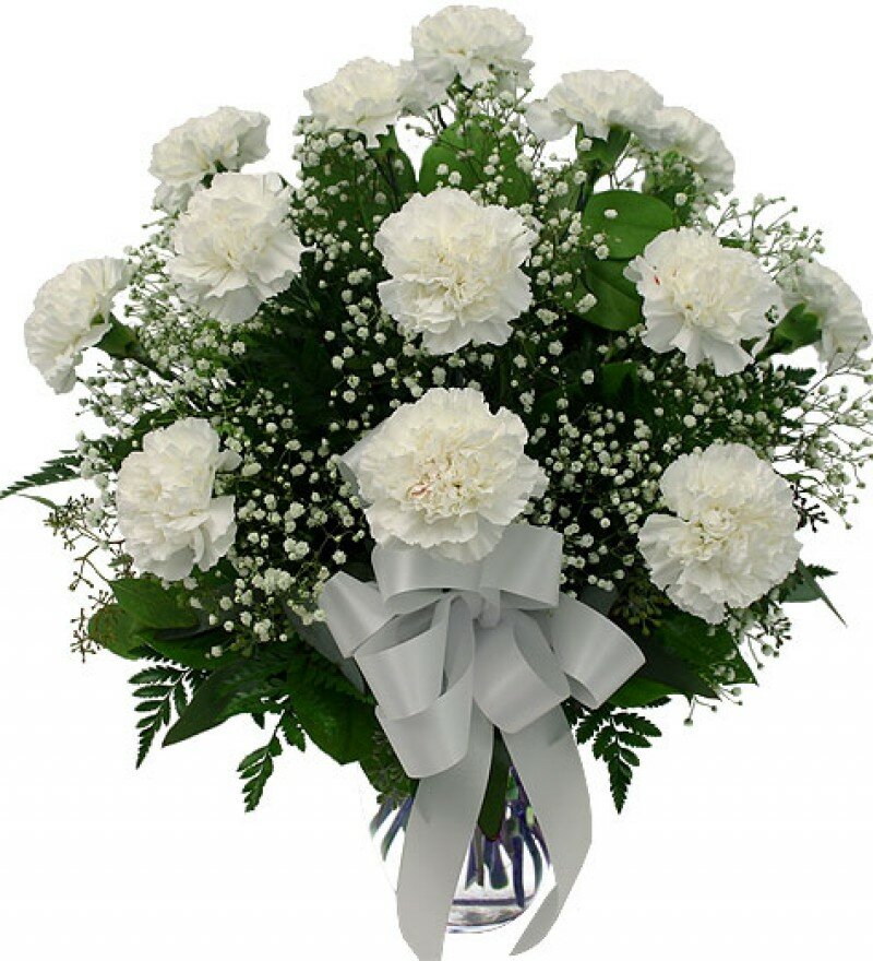 �������� ����� ��������