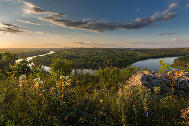 донской природный парк волгоград фото