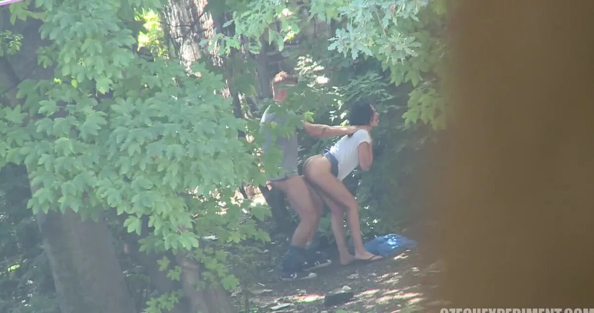 ������� ������ ���� � ���� - 2