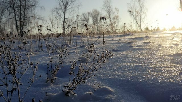 заснеженное поле фото