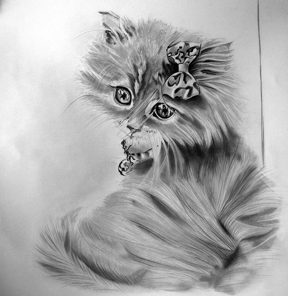 котики карандашом фото