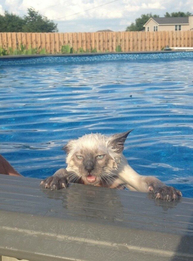 когда утром успел на маршрутку