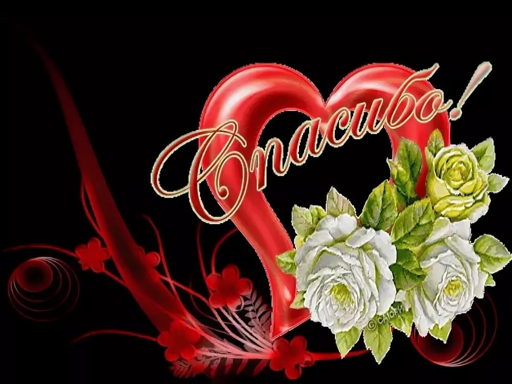 �������� ��������� ������