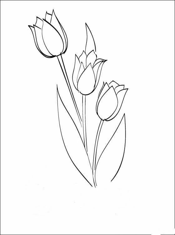 �������� �������� ������������ �� 8 �����, ������� �������