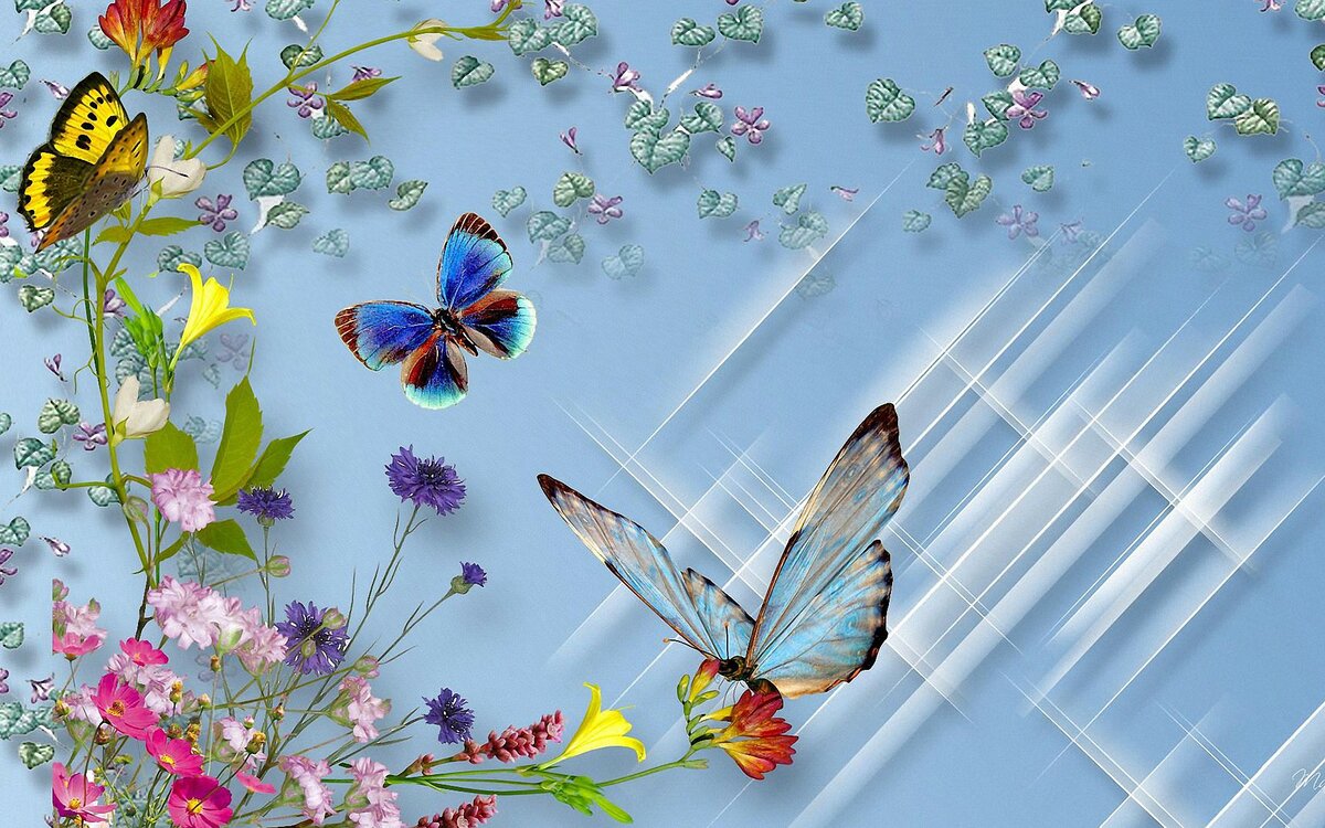 ������������ ��� ��� ��������, �������� ������������ ����������