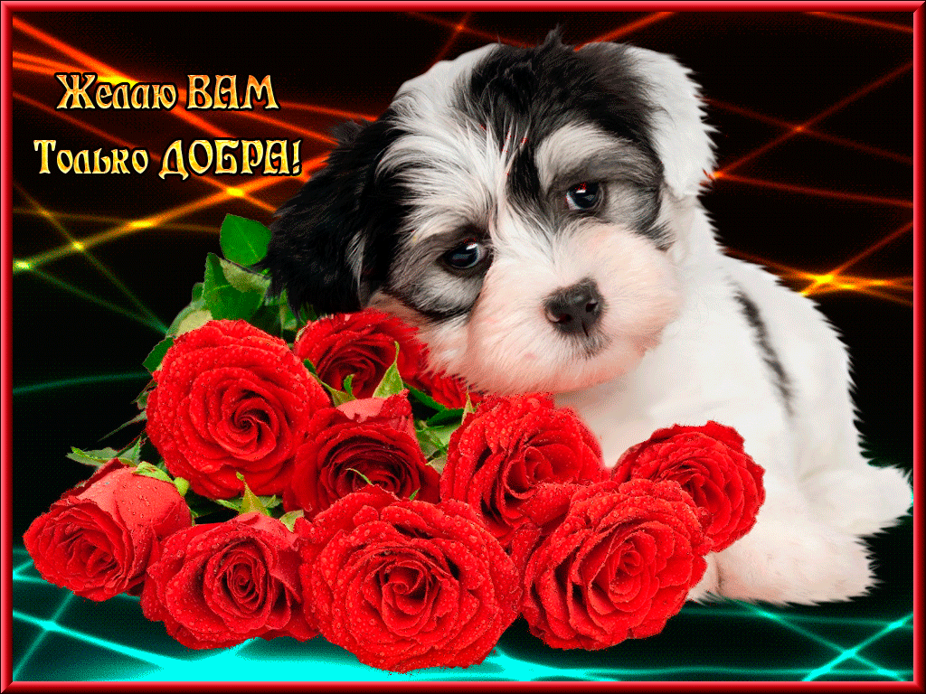 ���������� ����, ��������� ������� ��������