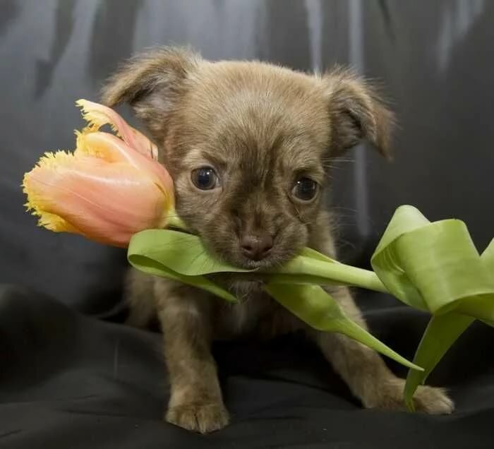 ����, ������������ �������� � 8 ����� ����������