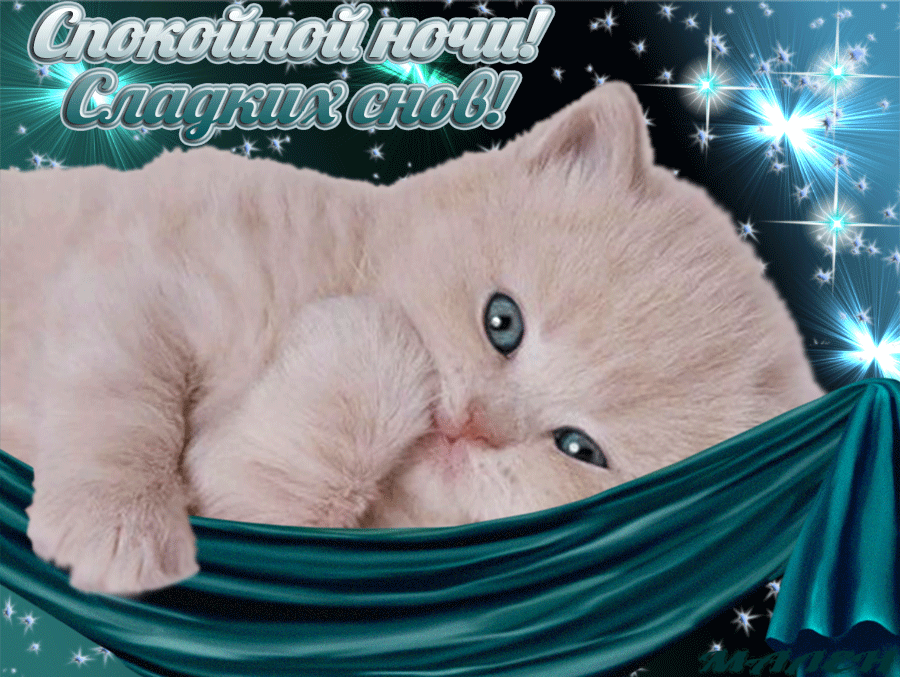 �����, ����� �������� ������������ �������� ��������� ����