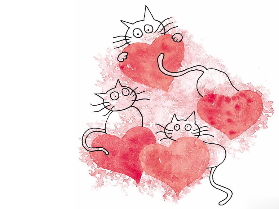 ����� �������� � ��� ������� ���������, ��� �������� �����