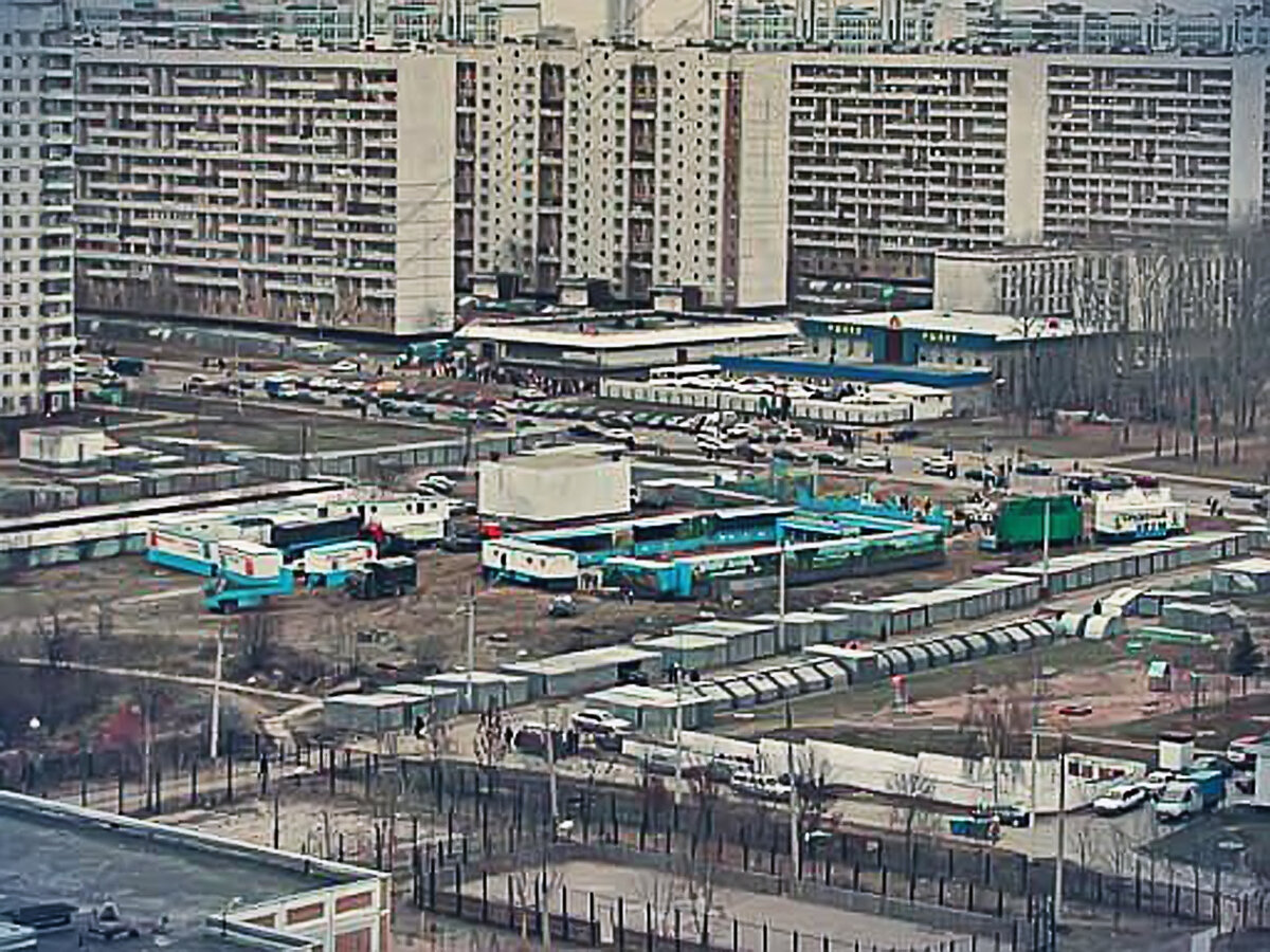 заболевания, новопеределкино в картинках дерева самый