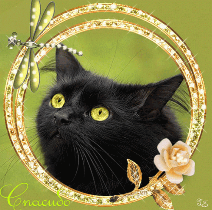 �������� � ������� ��������