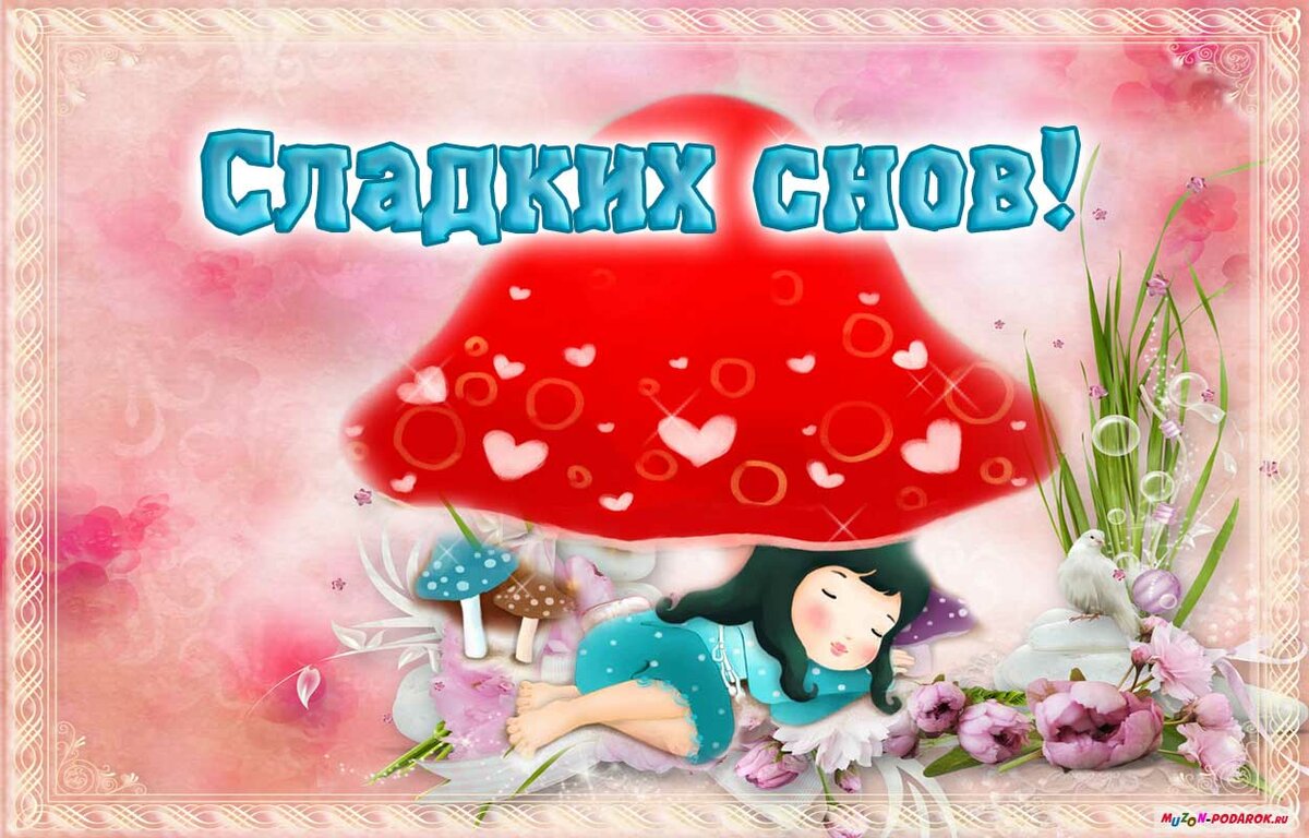 ������� ���� ����� ��������, ���� �������� ������������