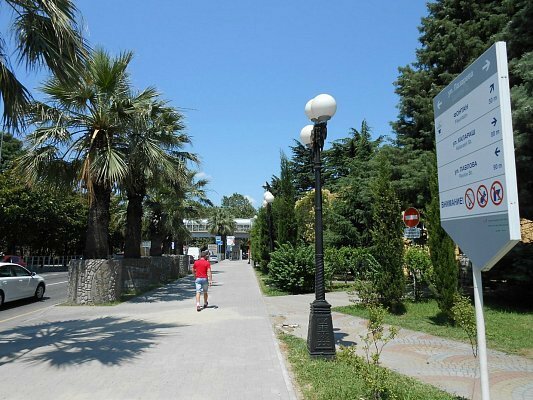 платановая аллея в сочи фото