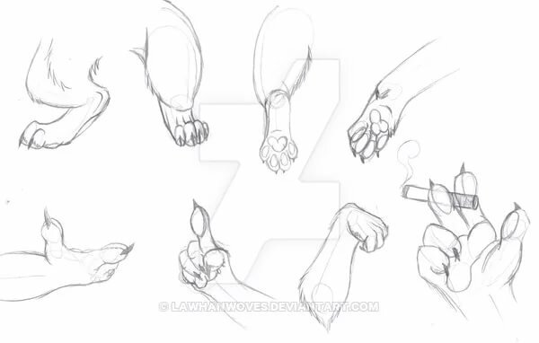 Лапа фурри рисунок