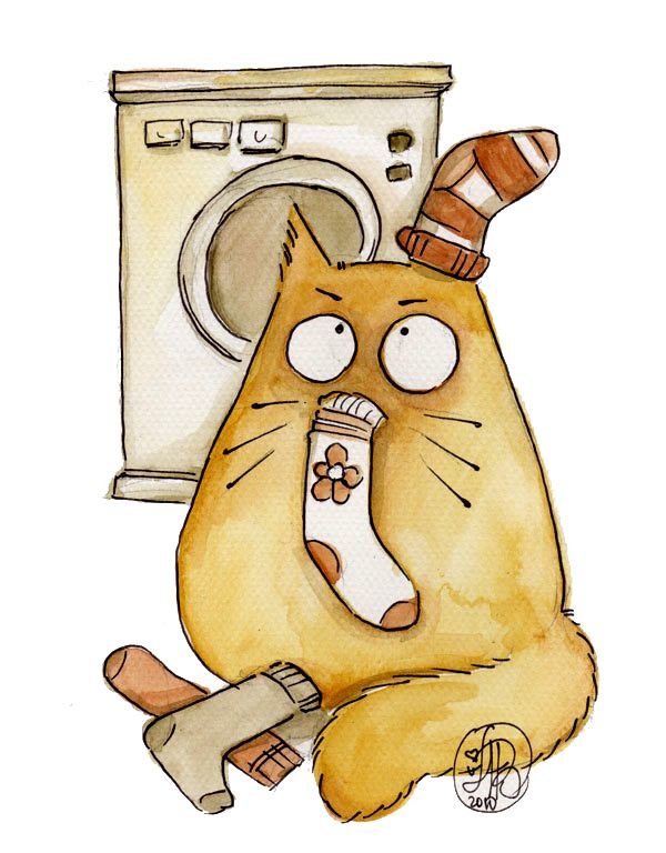 ������������ �������� ���� �������