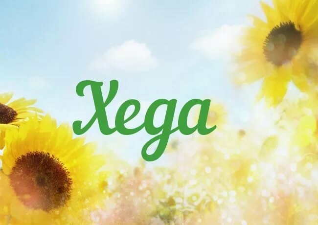 � ���� �������� ���� ��������, ������� ���� �������