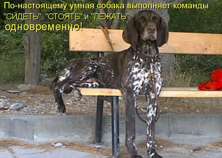 ������� �������� � �������� � ��������� �� ����