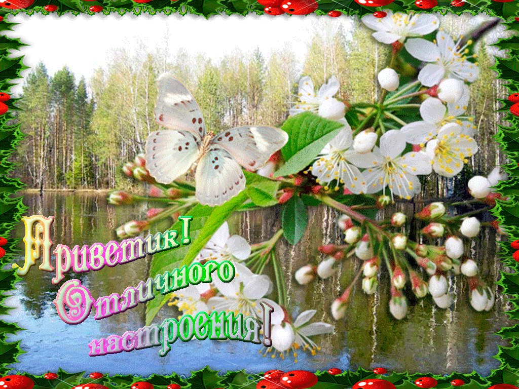 �������� �������� ����� ��������