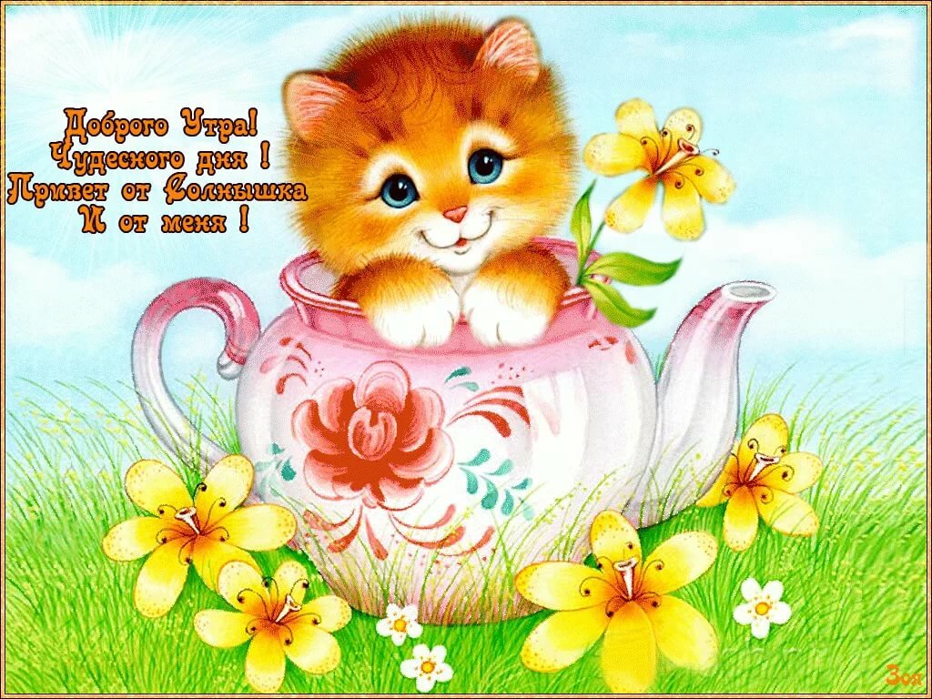 ���������, � ������ ����� �������� ��� � ���������� �������� ���������� ��������