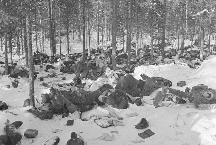 советско-финская война 1939-1940 фото