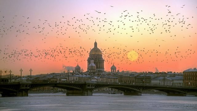 зимний питер нева фото