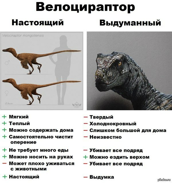 раптор велоцераптор фото