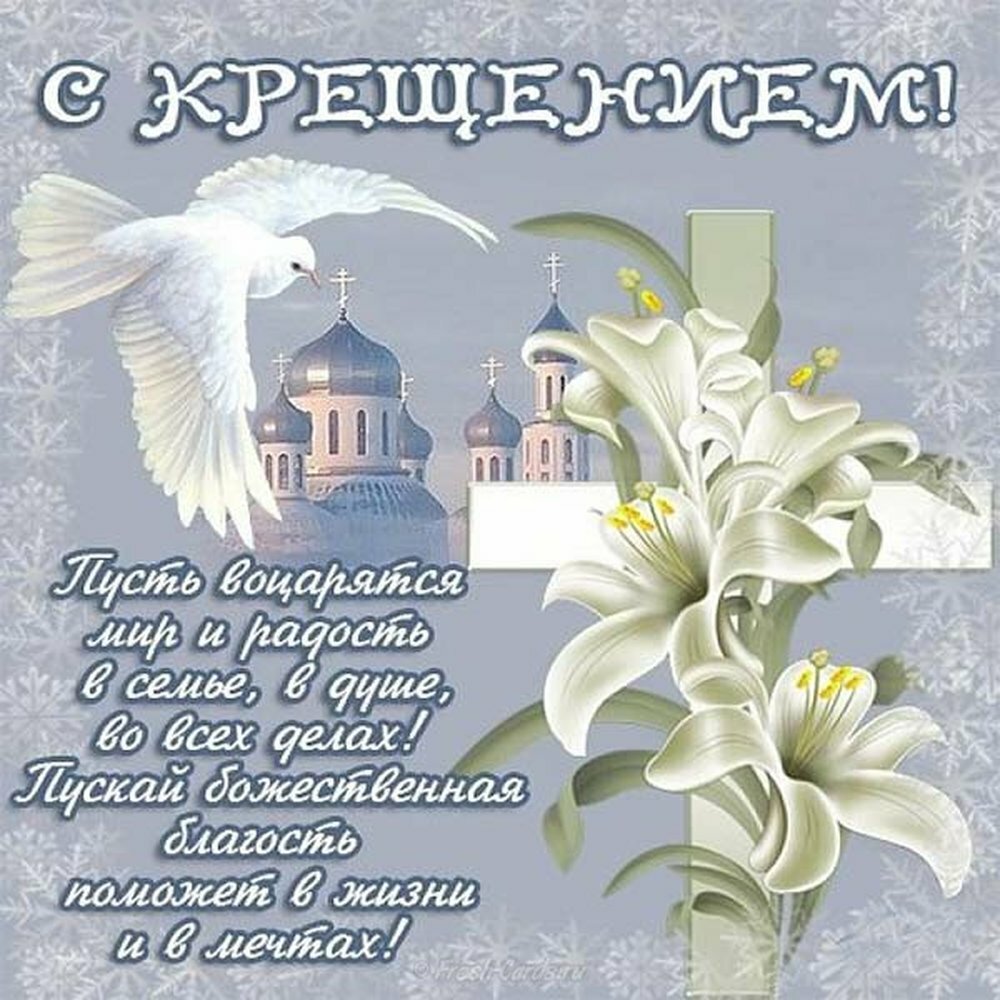 Tapтaлeтки & Ко