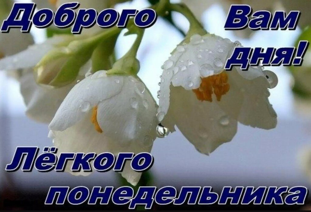 �����, ������� ������������ ���������� ��������