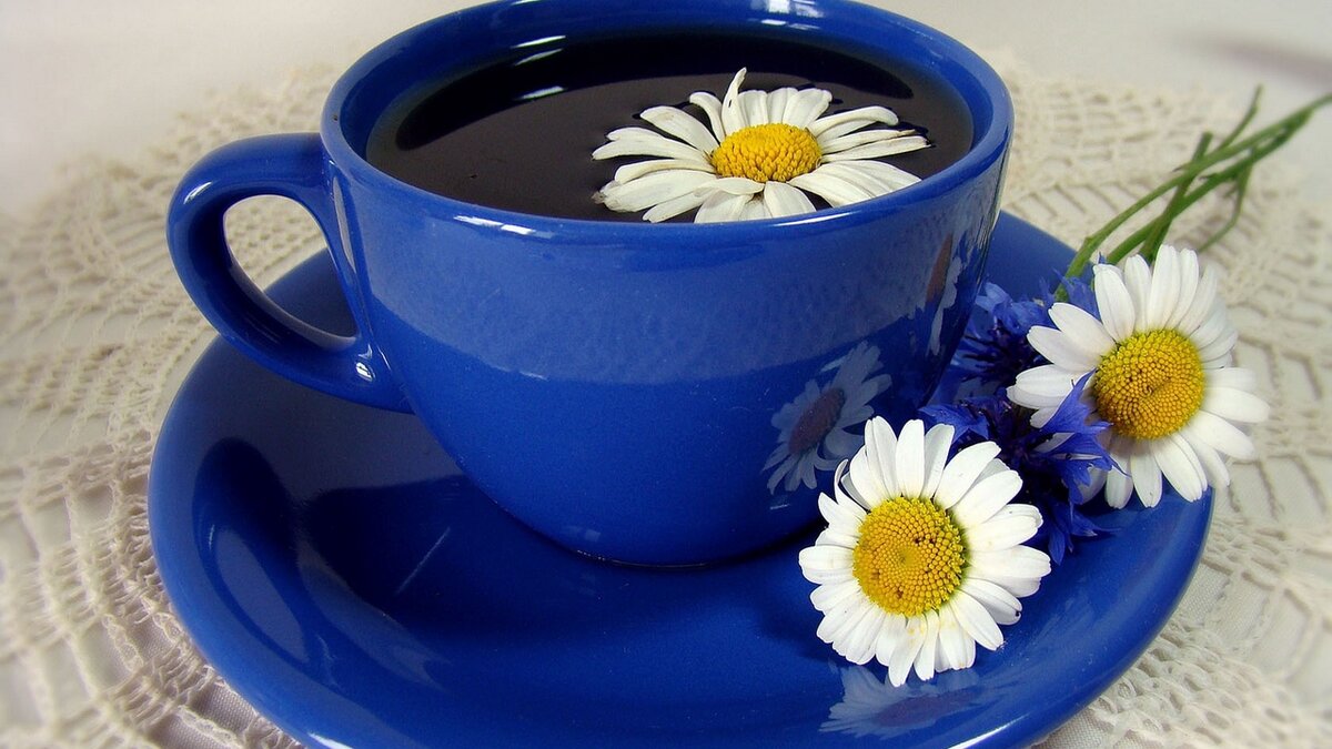 �������� � �������� � ������ ����� � �������� � ��������