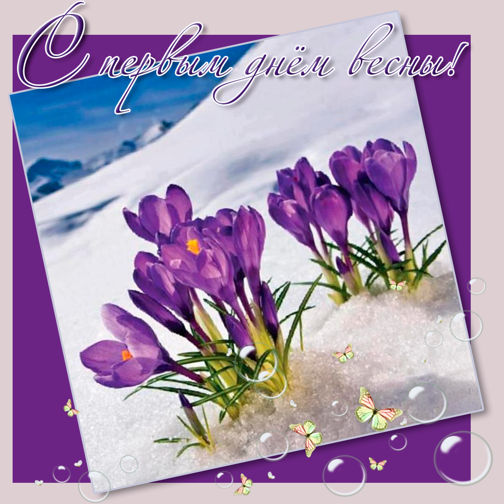 ��������, �������� � 1 ����� �����