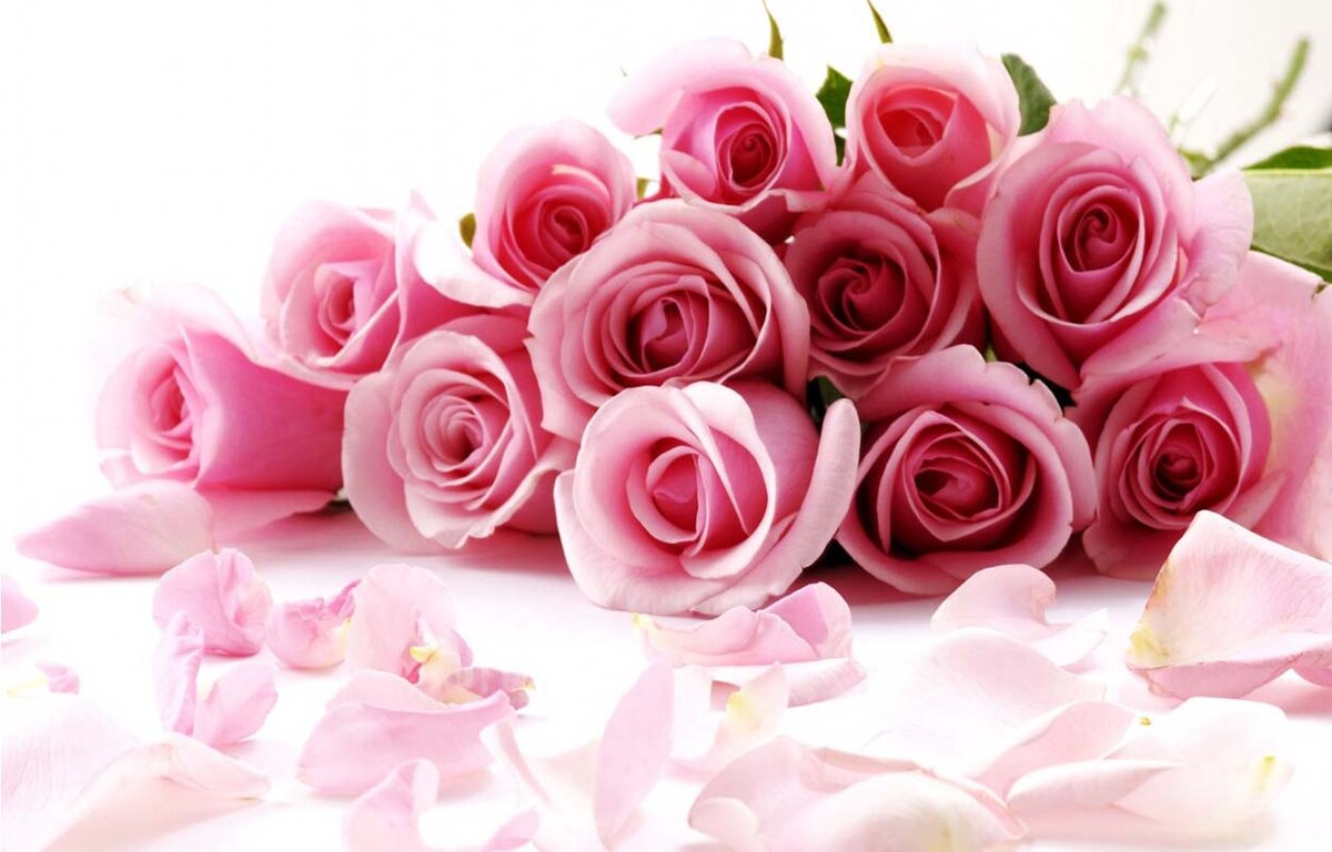 ��� ��������� �������� ���������������, ����� ���� ��������