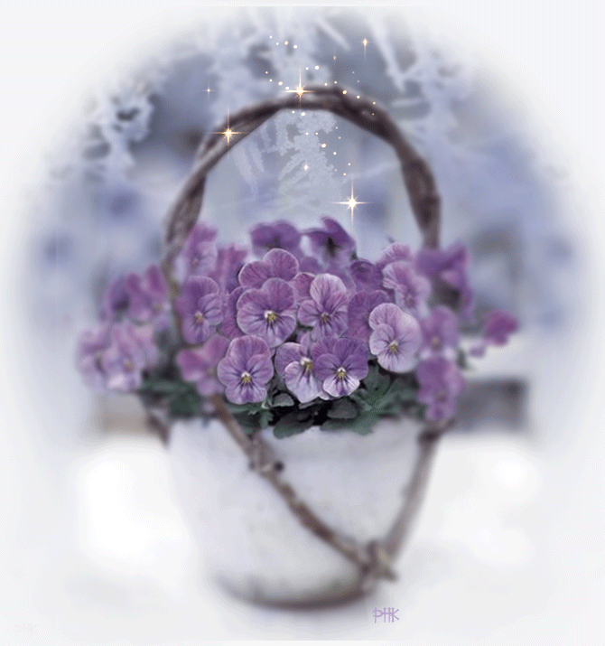 ������469