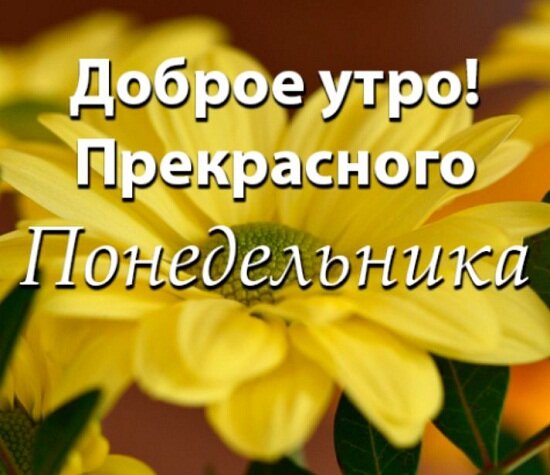 �������, �������� � ������ ����� � ��������� ������������