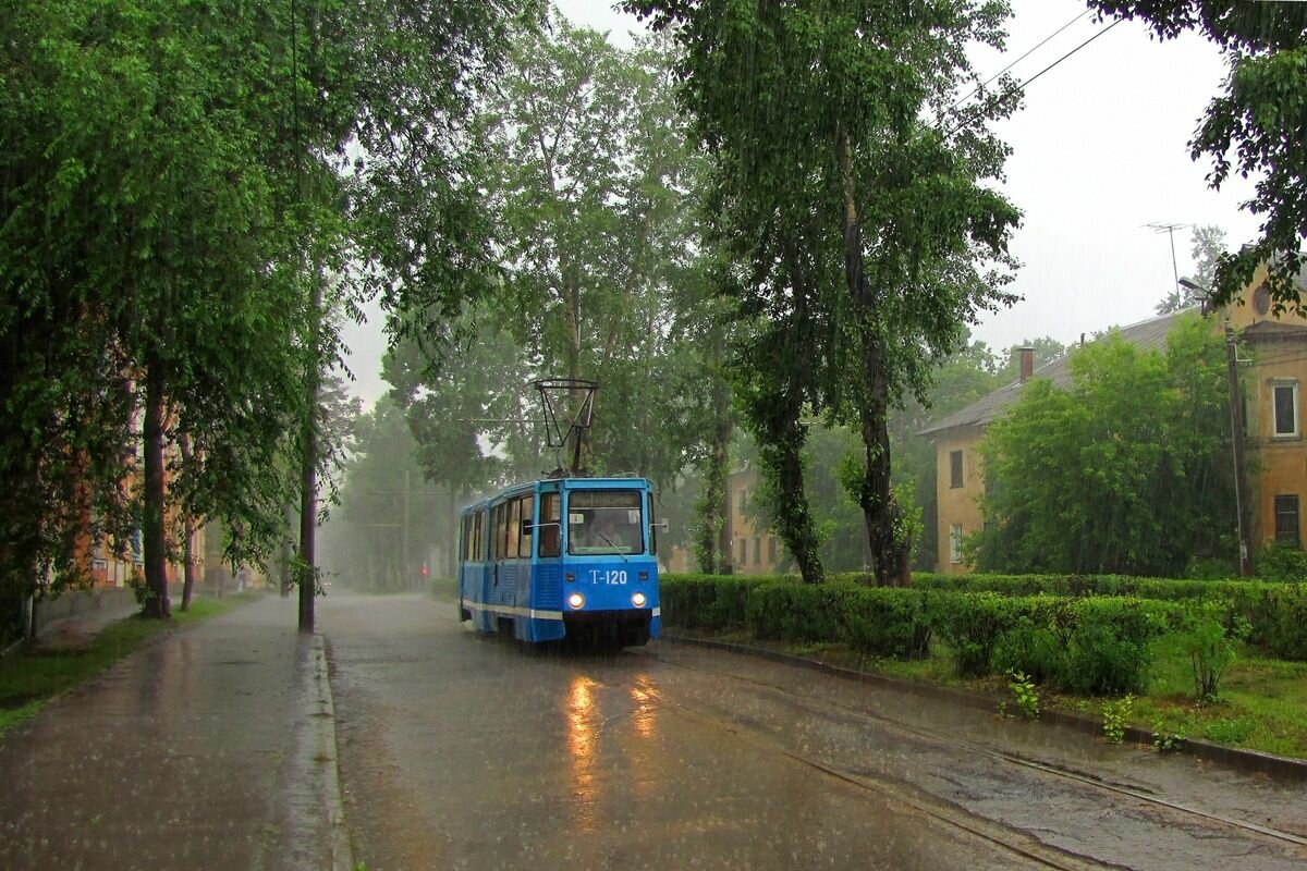 воронежский трамвай фото