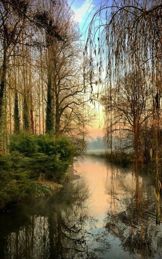 пейзажи красивые фото