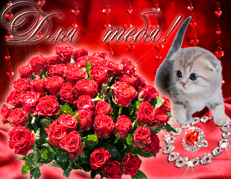 ��� ��������������, �������� �������� ��� ������� ���������